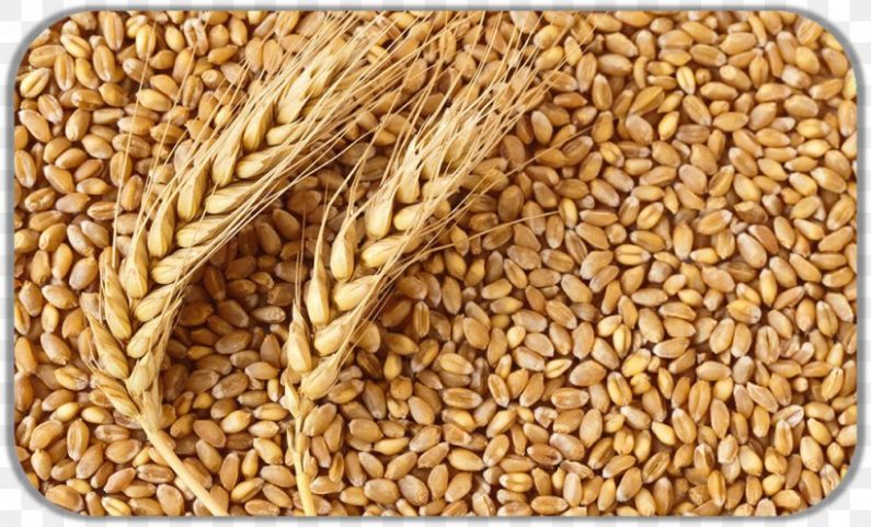 Grow Healthier With Atta Lif On Well